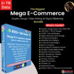 the biggest Mega e-commerce